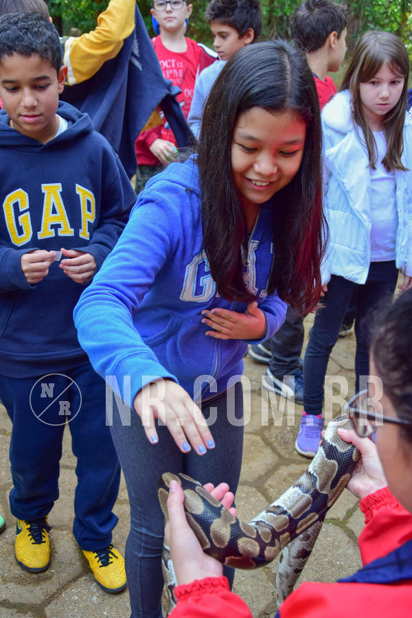 Buy your photos of the eventNR1- English e Action 08 a 10/06/18 on Fotop