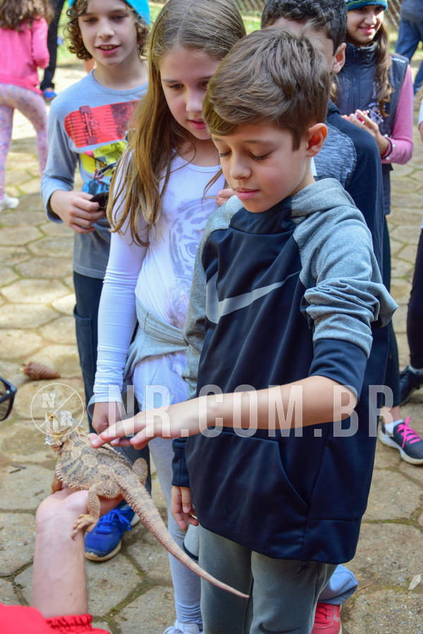 Buy your photos of the eventNR1- English e Action 08 a 10/06/18 on Fotop