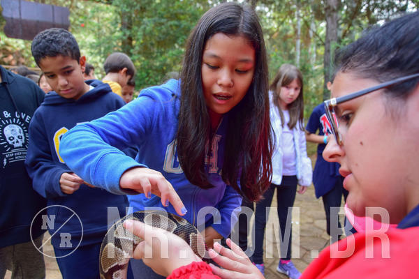 Buy your photos of the eventNR1- English e Action 08 a 10/06/18 on Fotop