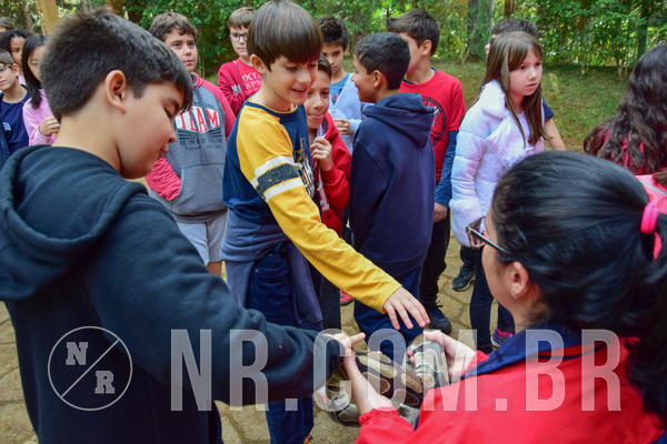 Buy your photos of the eventNR1- English e Action 08 a 10/06/18 on Fotop