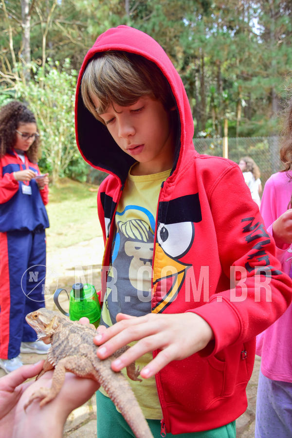 Buy your photos of the eventNR1- English e Action 08 a 10/06/18 on Fotop