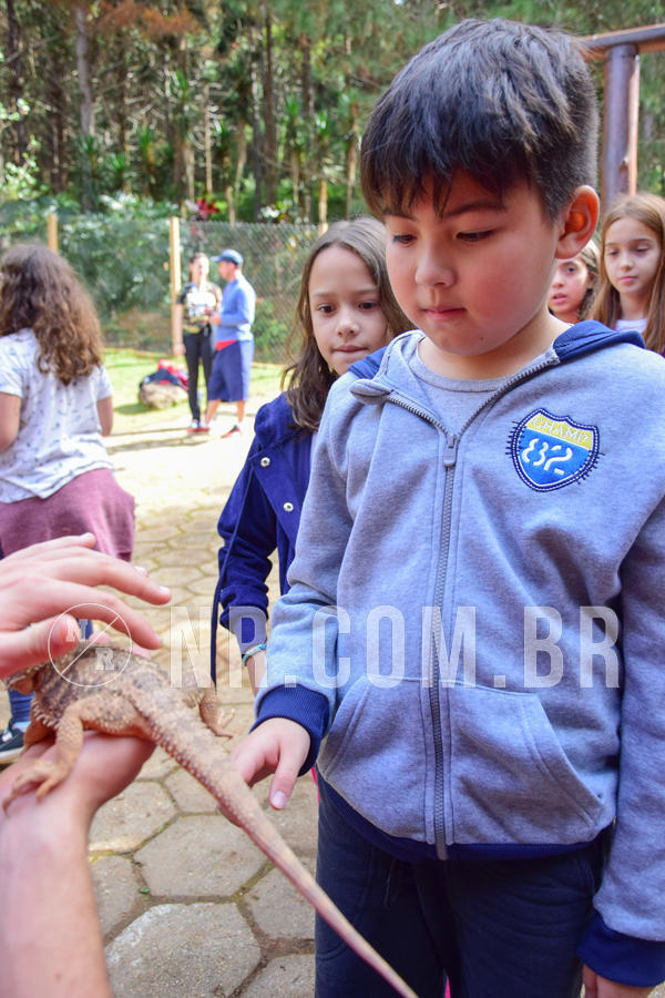 Buy your photos of the eventNR1- English e Action 08 a 10/06/18 on Fotop