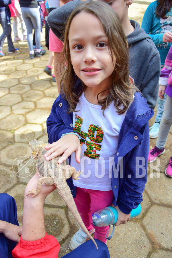 Buy your photos of the eventNR1- English e Action 08 a 10/06/18 on Fotop