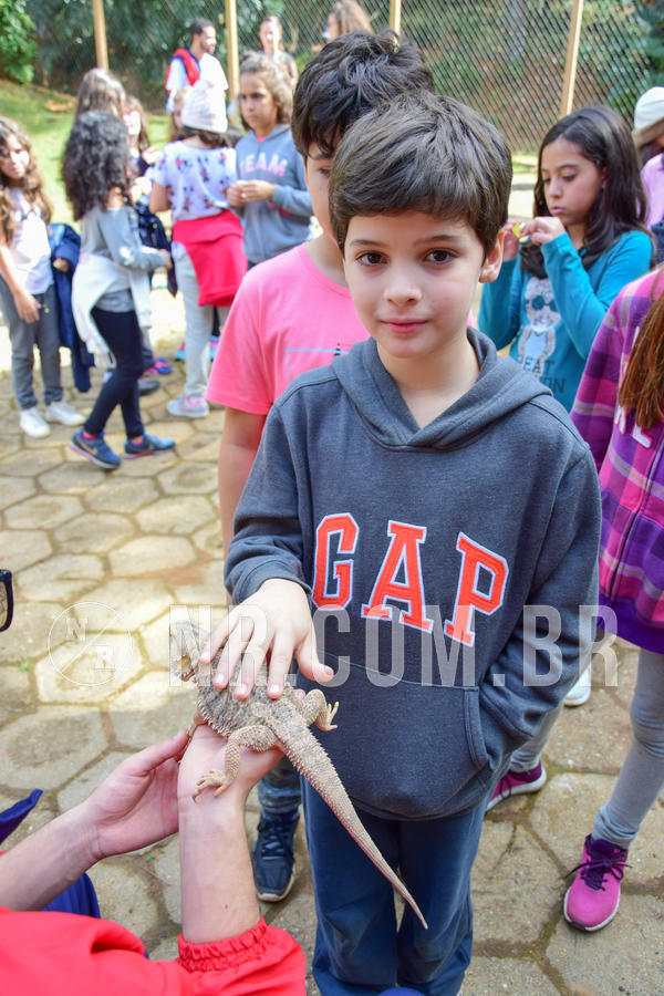 Buy your photos of the eventNR1- English e Action 08 a 10/06/18 on Fotop