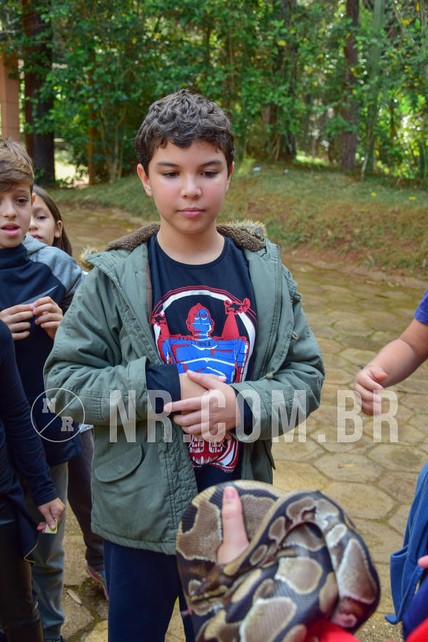 Buy your photos of the eventNR1- English e Action 08 a 10/06/18 on Fotop