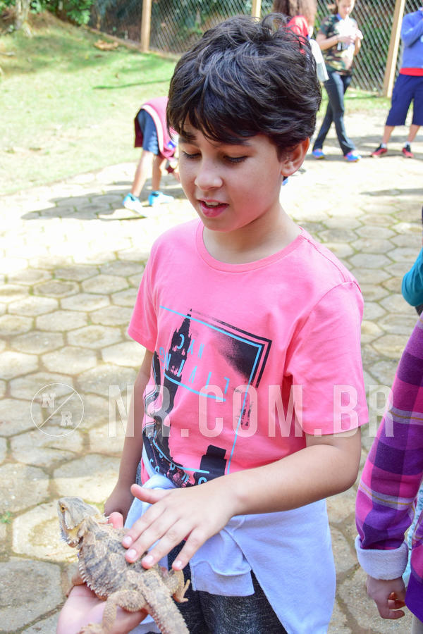 Buy your photos of the eventNR1- English e Action 08 a 10/06/18 on Fotop