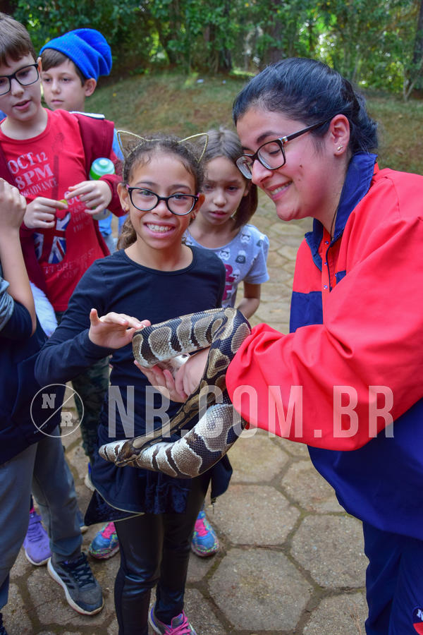 Buy your photos of the eventNR1- English e Action 08 a 10/06/18 on Fotop