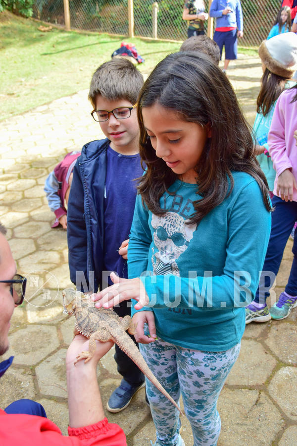 Buy your photos of the eventNR1- English e Action 08 a 10/06/18 on Fotop