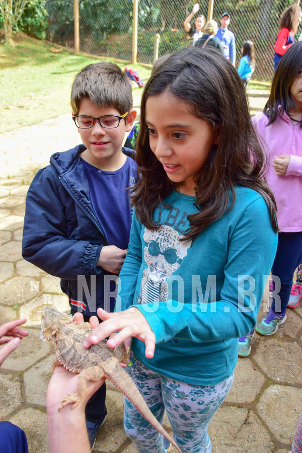 Buy your photos of the eventNR1- English e Action 08 a 10/06/18 on Fotop