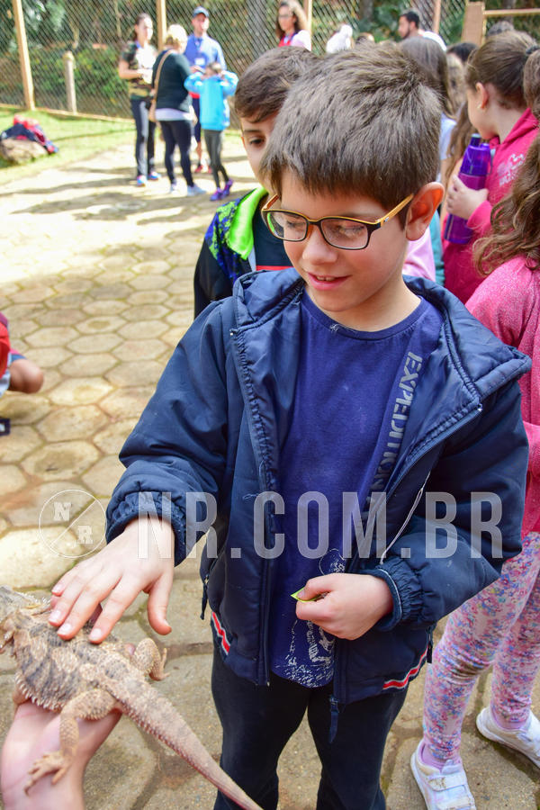 Buy your photos of the eventNR1- English e Action 08 a 10/06/18 on Fotop