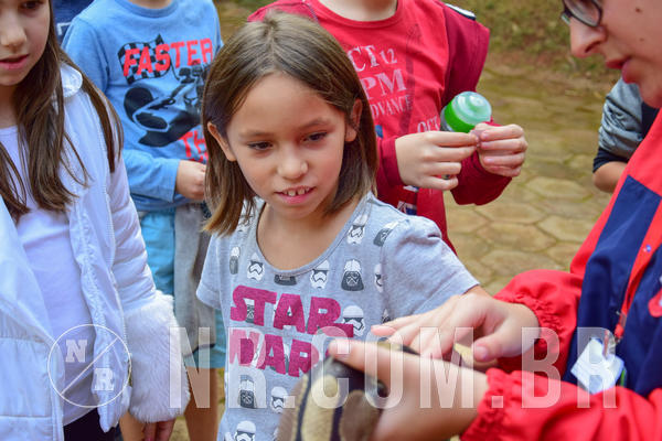 Buy your photos of the eventNR1- English e Action 08 a 10/06/18 on Fotop