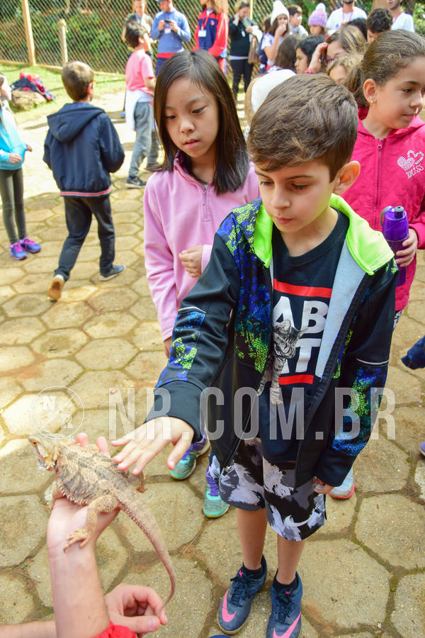 Buy your photos of the eventNR1- English e Action 08 a 10/06/18 on Fotop