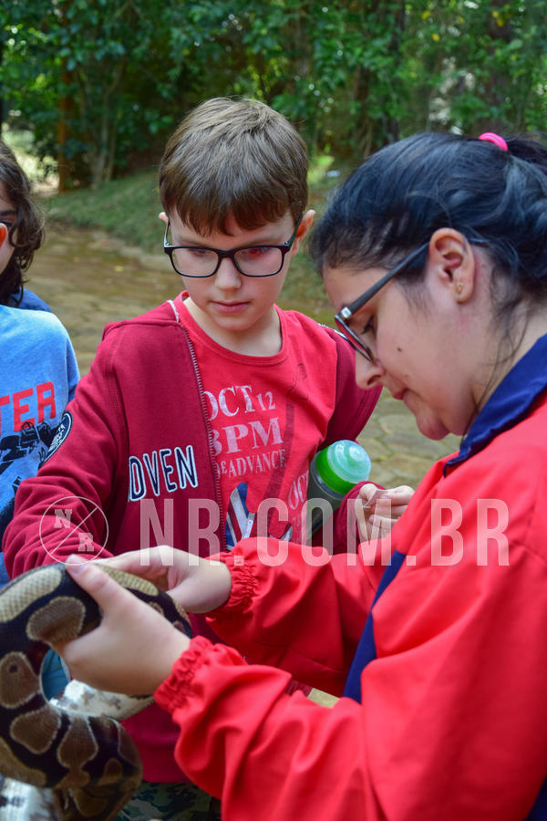 Buy your photos of the eventNR1- English e Action 08 a 10/06/18 on Fotop