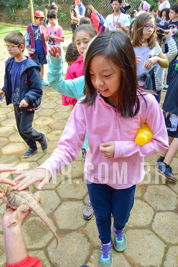 Buy your photos of the eventNR1- English e Action 08 a 10/06/18 on Fotop