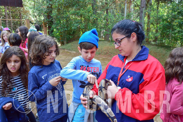 Buy your photos of the eventNR1- English e Action 08 a 10/06/18 on Fotop