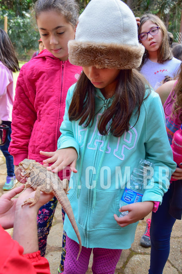 Buy your photos of the eventNR1- English e Action 08 a 10/06/18 on Fotop