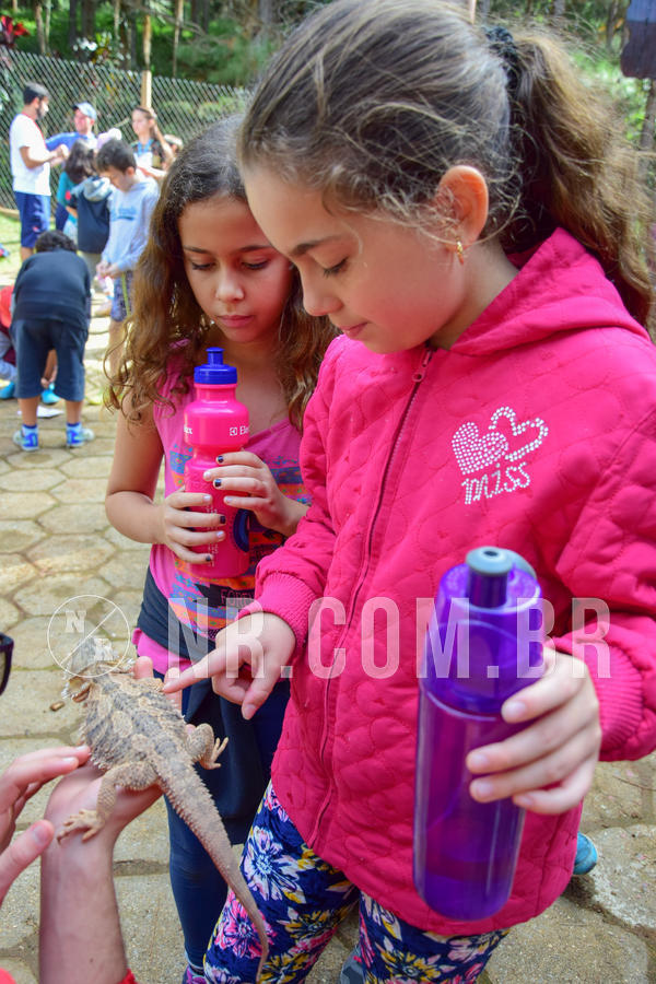 Buy your photos of the eventNR1- English e Action 08 a 10/06/18 on Fotop