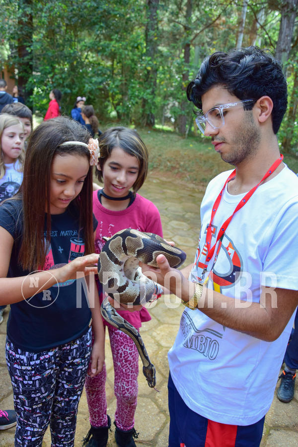 Buy your photos of the eventNR1- English e Action 08 a 10/06/18 on Fotop
