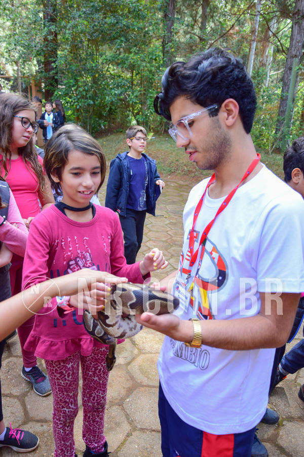 Buy your photos of the eventNR1- English e Action 08 a 10/06/18 on Fotop