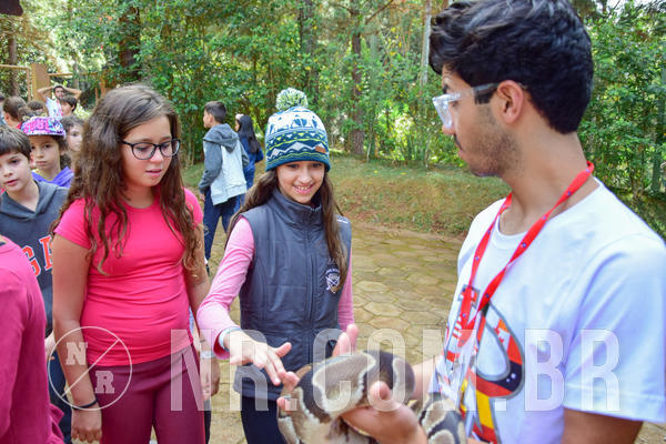 Buy your photos of the eventNR1- English e Action 08 a 10/06/18 on Fotop