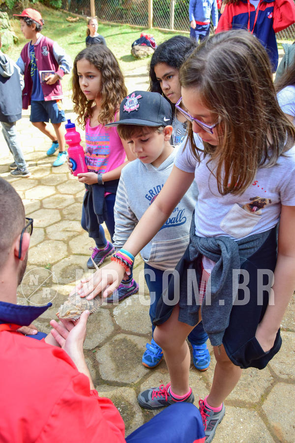 Buy your photos of the eventNR1- English e Action 08 a 10/06/18 on Fotop