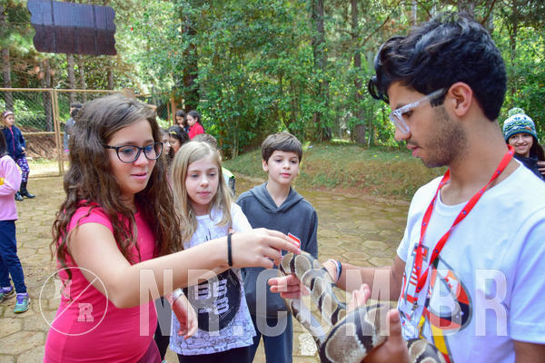 Buy your photos of the eventNR1- English e Action 08 a 10/06/18 on Fotop