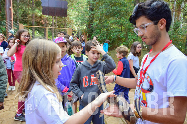 Buy your photos of the eventNR1- English e Action 08 a 10/06/18 on Fotop