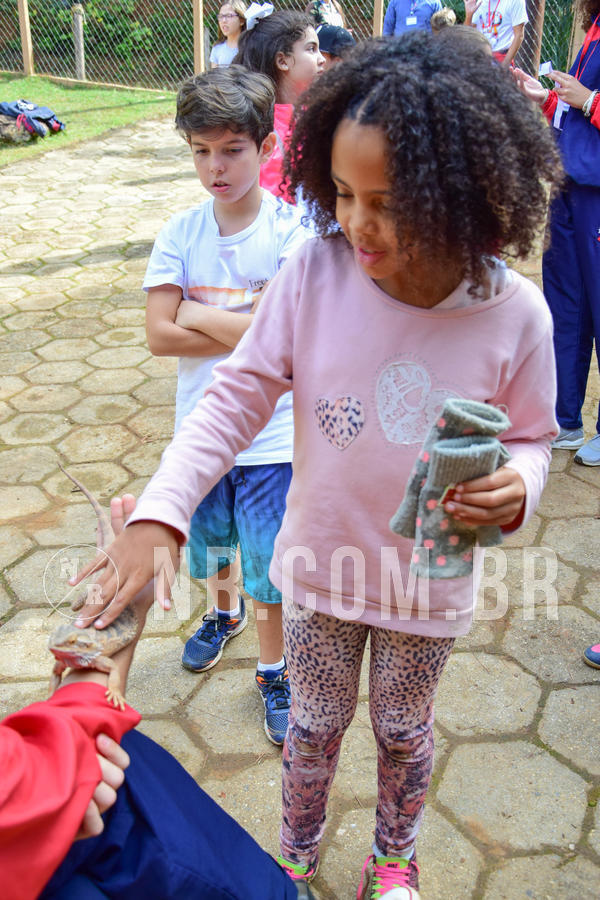 Buy your photos of the eventNR1- English e Action 08 a 10/06/18 on Fotop