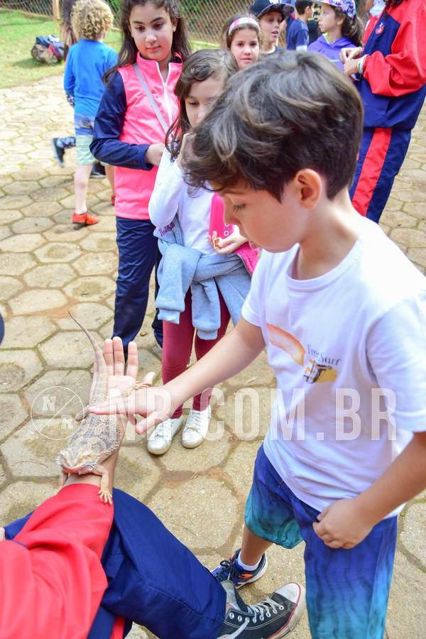 Buy your photos of the eventNR1- English e Action 08 a 10/06/18 on Fotop