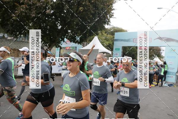 Buy your photos of the event9 Meia Maratona Internacional de Belo Horizonte on Fotop
