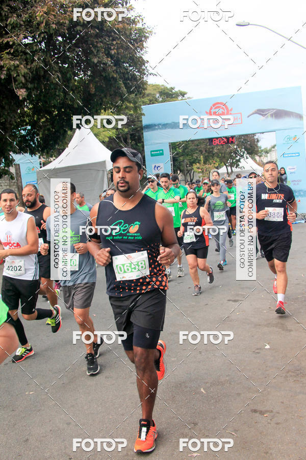 Buy your photos of the event9 Meia Maratona Internacional de Belo Horizonte on Fotop