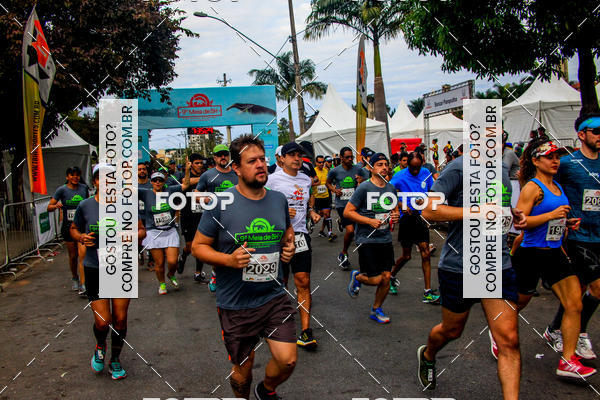 Buy your photos of the event9 Meia Maratona Internacional de Belo Horizonte on Fotop