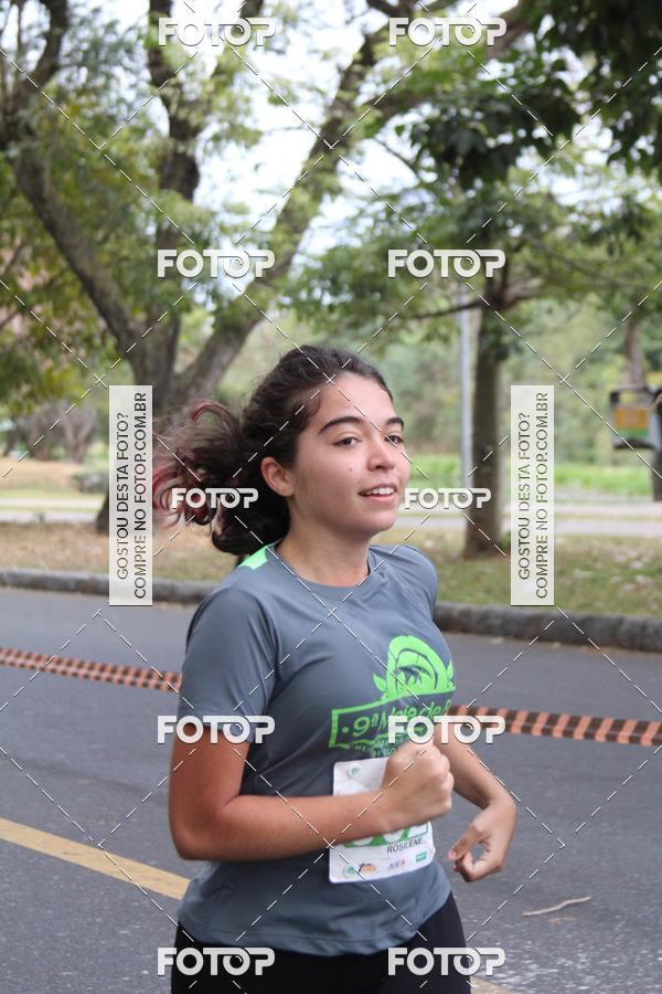 Buy your photos of the event9 Meia Maratona Internacional de Belo Horizonte on Fotop