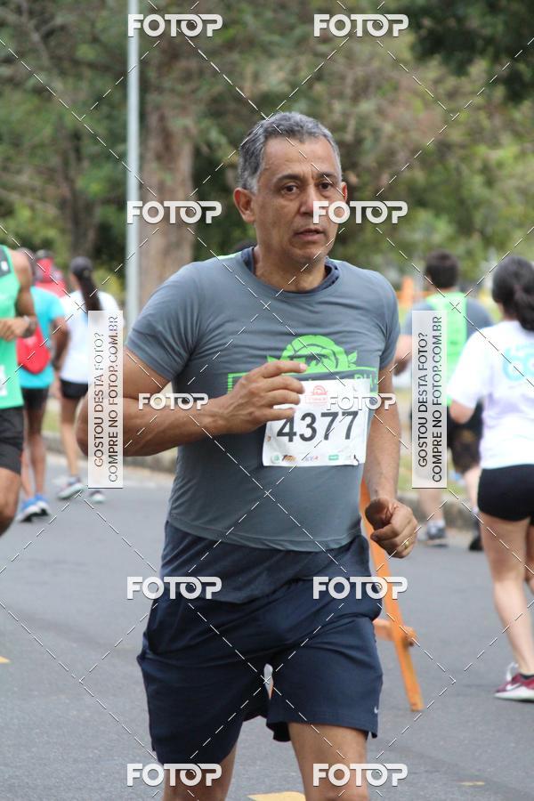 Buy your photos of the event9 Meia Maratona Internacional de Belo Horizonte on Fotop