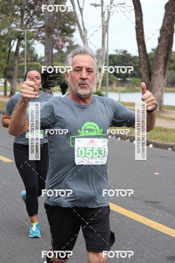 Buy your photos of the event9 Meia Maratona Internacional de Belo Horizonte on Fotop