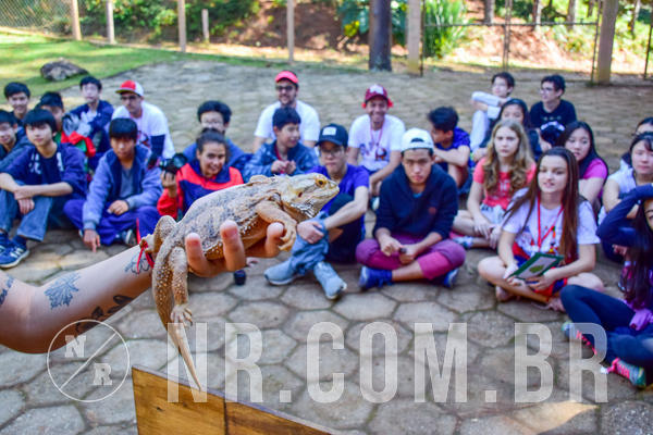 Buy your photos of the eventNR1- English e Action 11 a 13/06/18 on Fotop