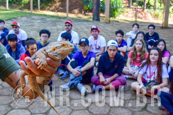 Buy your photos of the eventNR1- English e Action 11 a 13/06/18 on Fotop