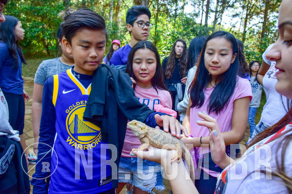 Buy your photos of the eventNR1- English e Action 11 a 13/06/18 on Fotop