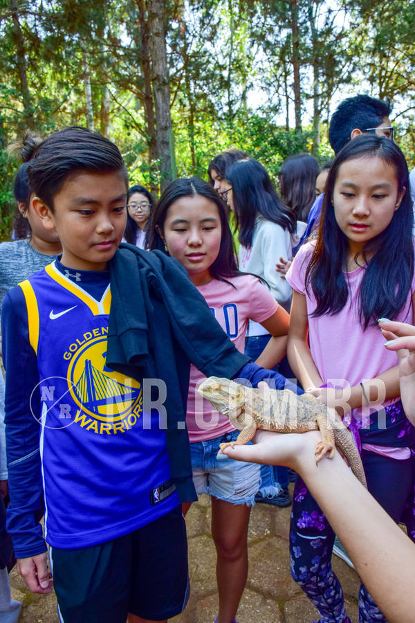 Buy your photos of the eventNR1- English e Action 11 a 13/06/18 on Fotop