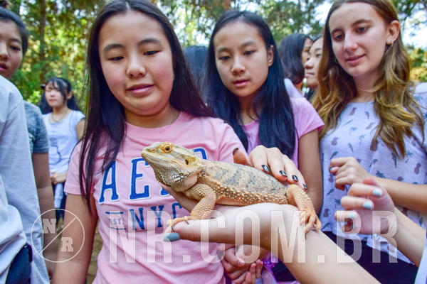 Buy your photos of the eventNR1- English e Action 11 a 13/06/18 on Fotop
