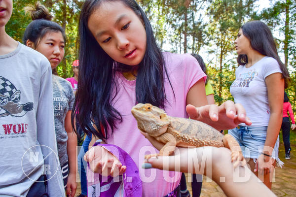 Buy your photos of the eventNR1- English e Action 11 a 13/06/18 on Fotop