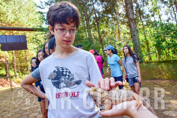 Buy your photos of the eventNR1- English e Action 11 a 13/06/18 on Fotop