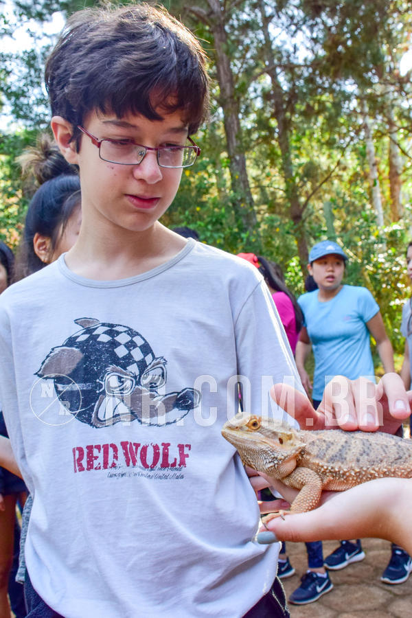 Buy your photos of the eventNR1- English e Action 11 a 13/06/18 on Fotop