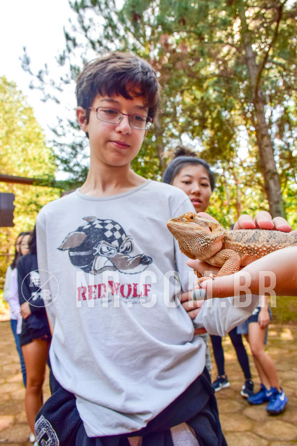 Buy your photos of the eventNR1- English e Action 11 a 13/06/18 on Fotop