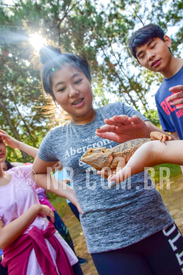 Buy your photos of the eventNR1- English e Action 11 a 13/06/18 on Fotop