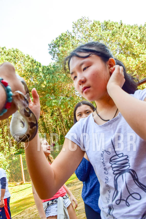 Buy your photos of the eventNR1- English e Action 11 a 13/06/18 on Fotop