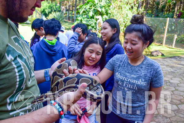 Buy your photos of the eventNR1- English e Action 11 a 13/06/18 on Fotop