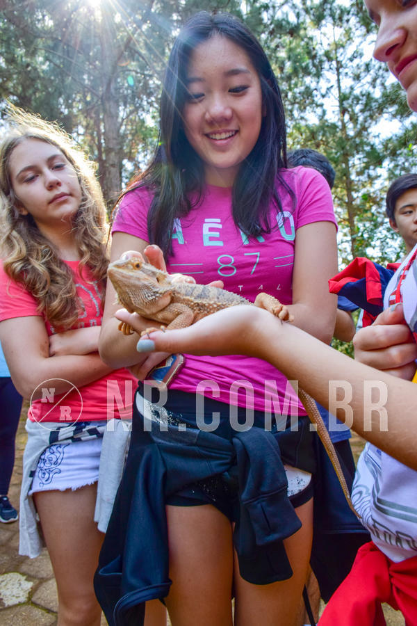 Buy your photos of the eventNR1- English e Action 11 a 13/06/18 on Fotop