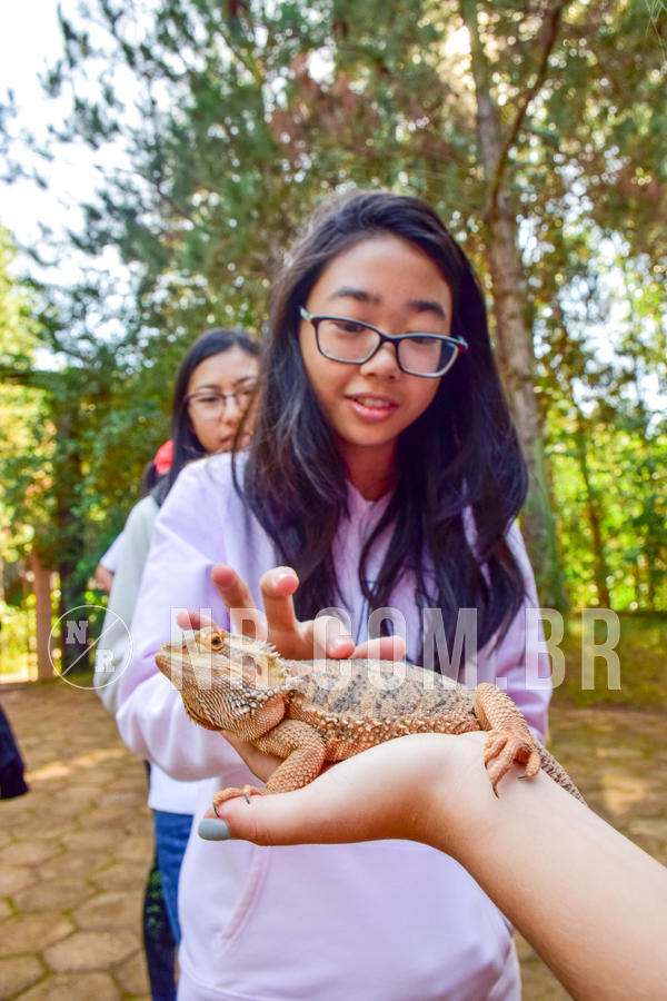 Buy your photos of the eventNR1- English e Action 11 a 13/06/18 on Fotop