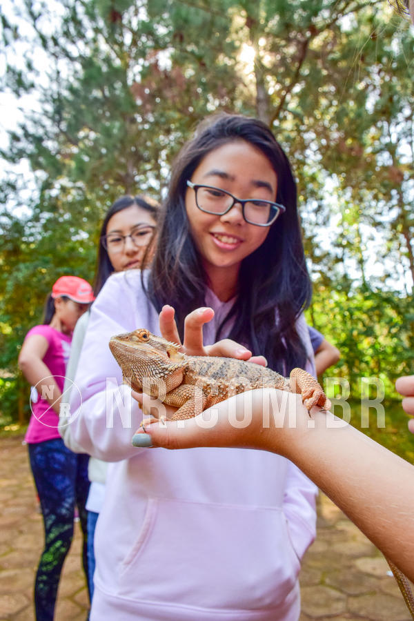 Buy your photos of the eventNR1- English e Action 11 a 13/06/18 on Fotop